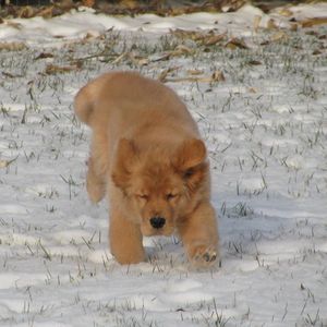 Meet your Posher, Karla